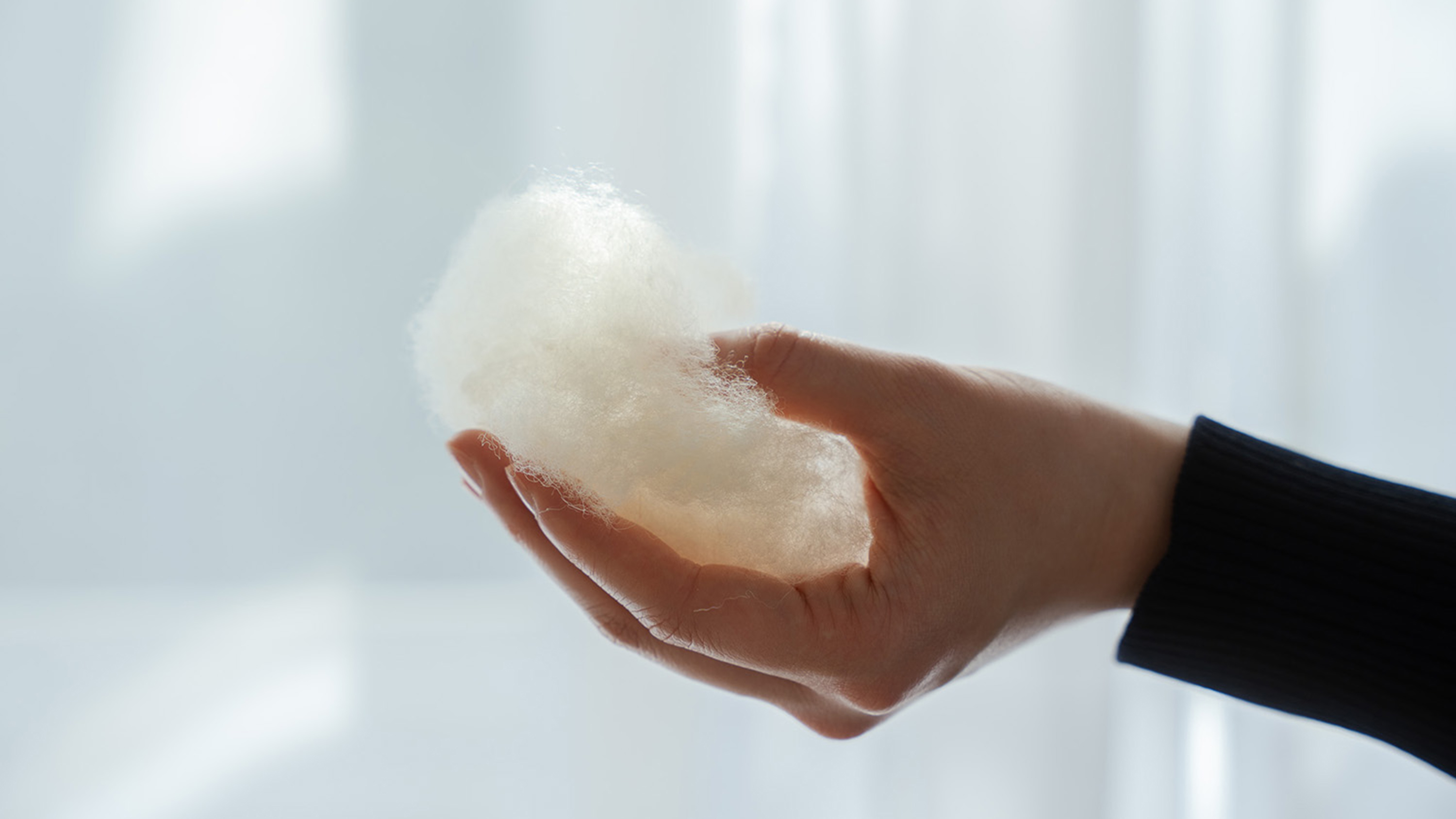 羊毛はメインボディを使用、薬品加工はしません