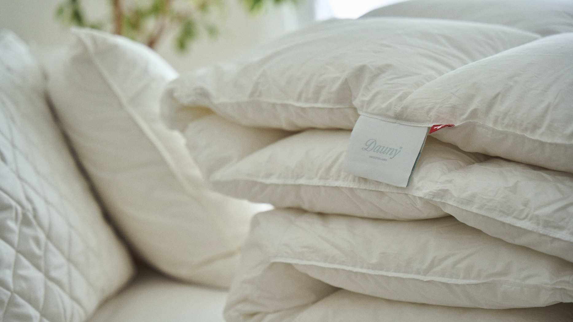 その他ラインナップ